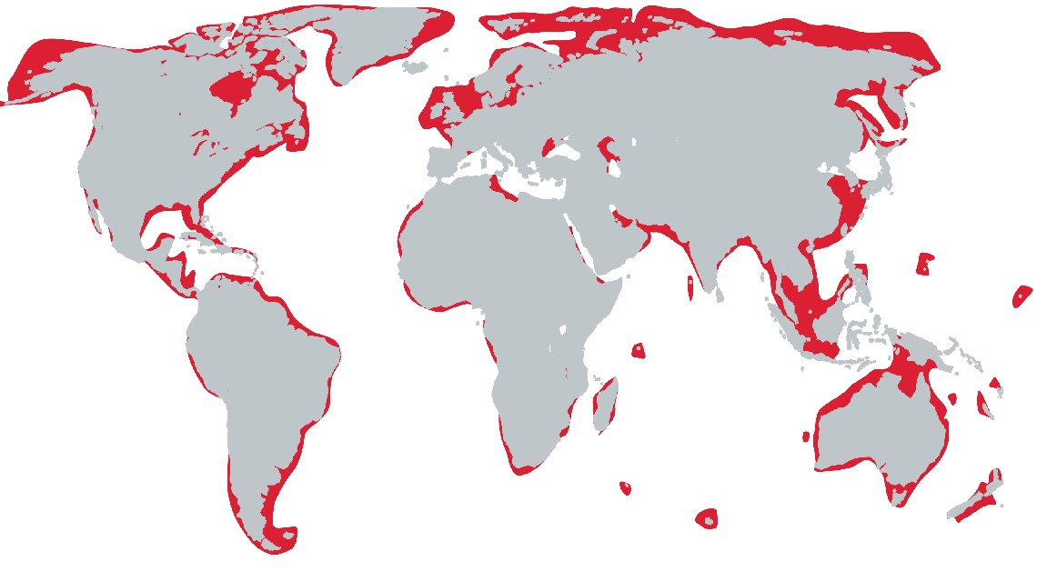 map.jpg